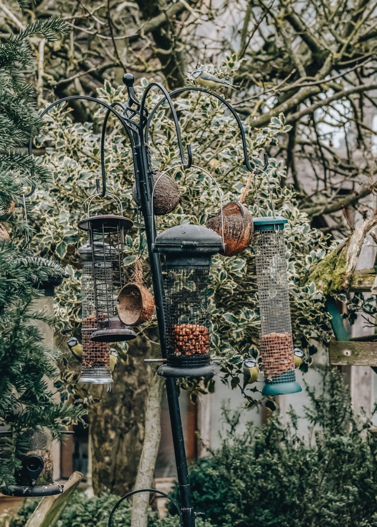 Caring for wildlife in the autumn garden