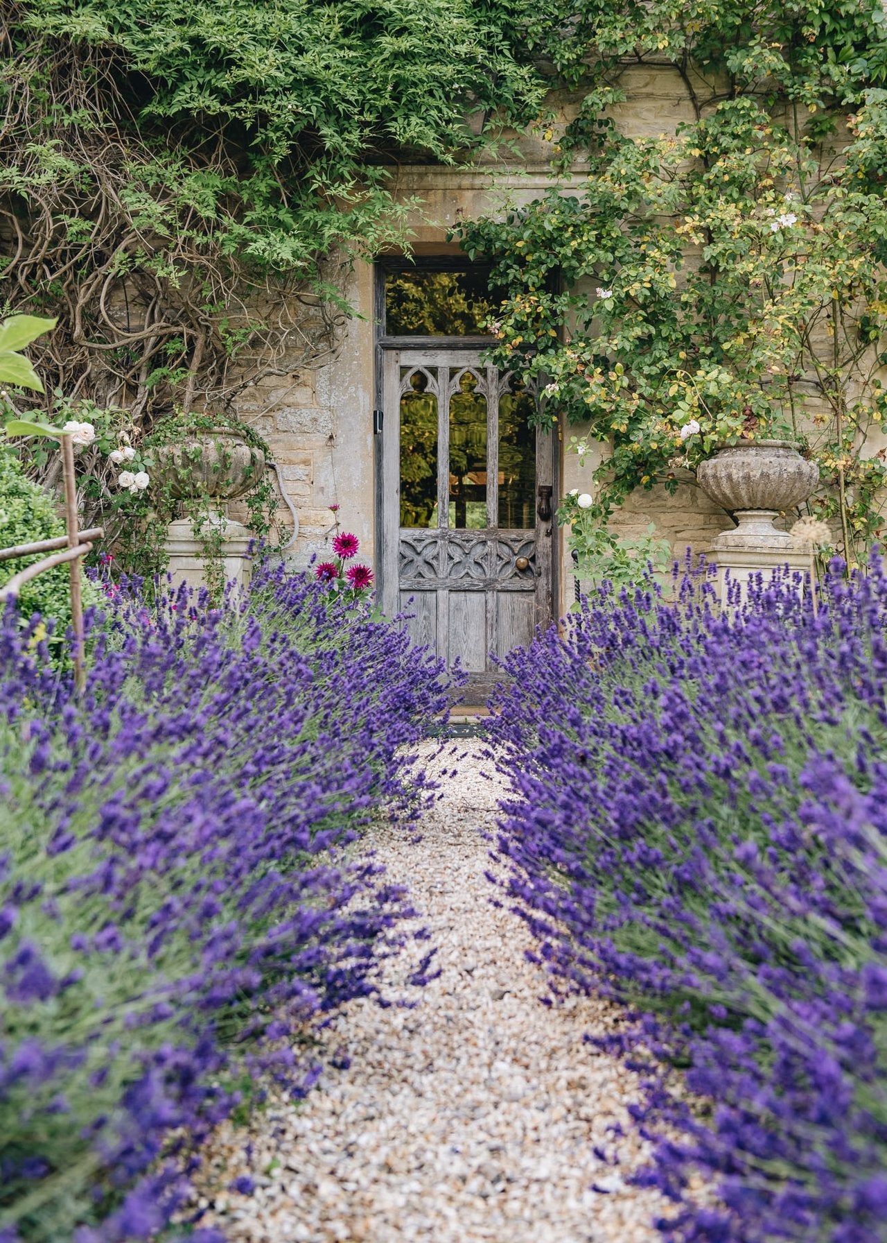 How to: Plant a Scented Pathway