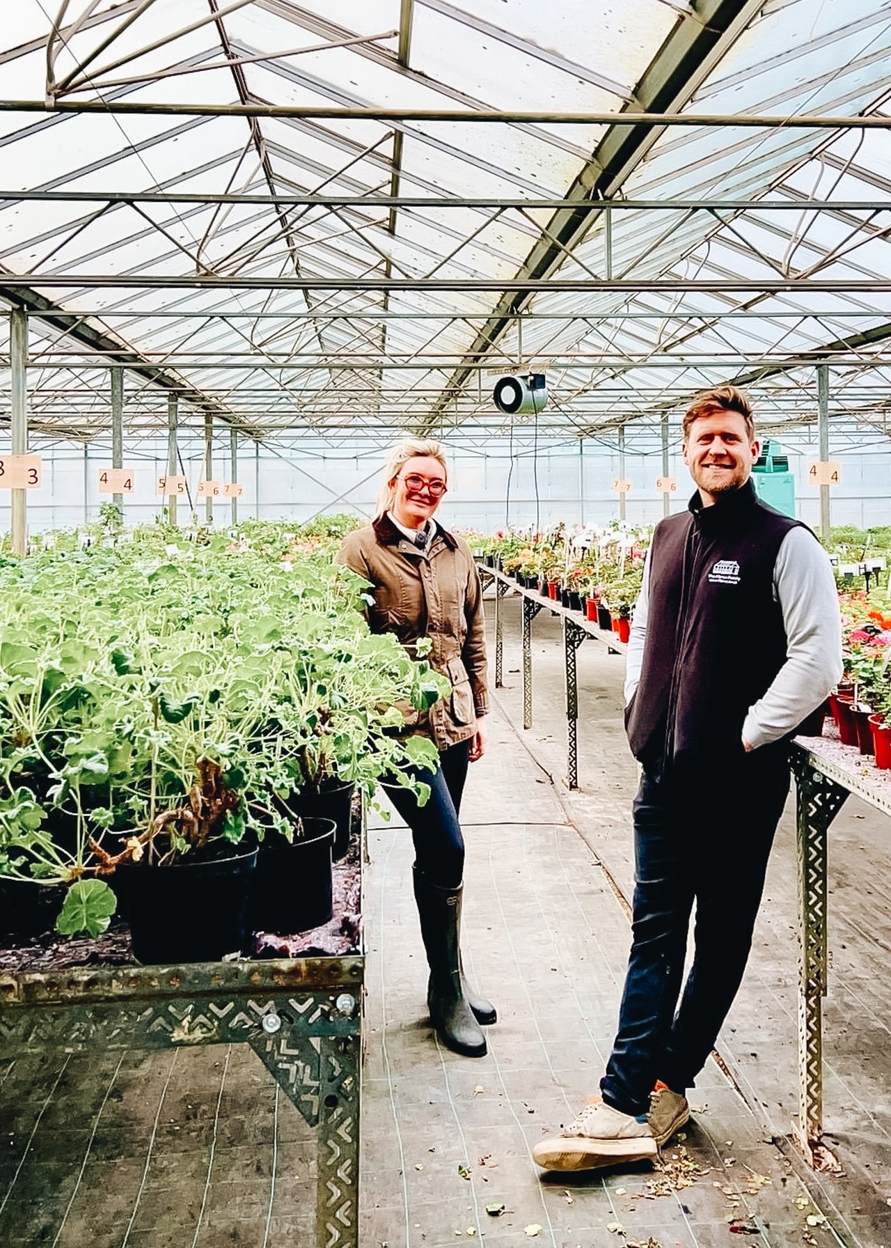 Meet Fibrex, renowned growers of pelargoniums