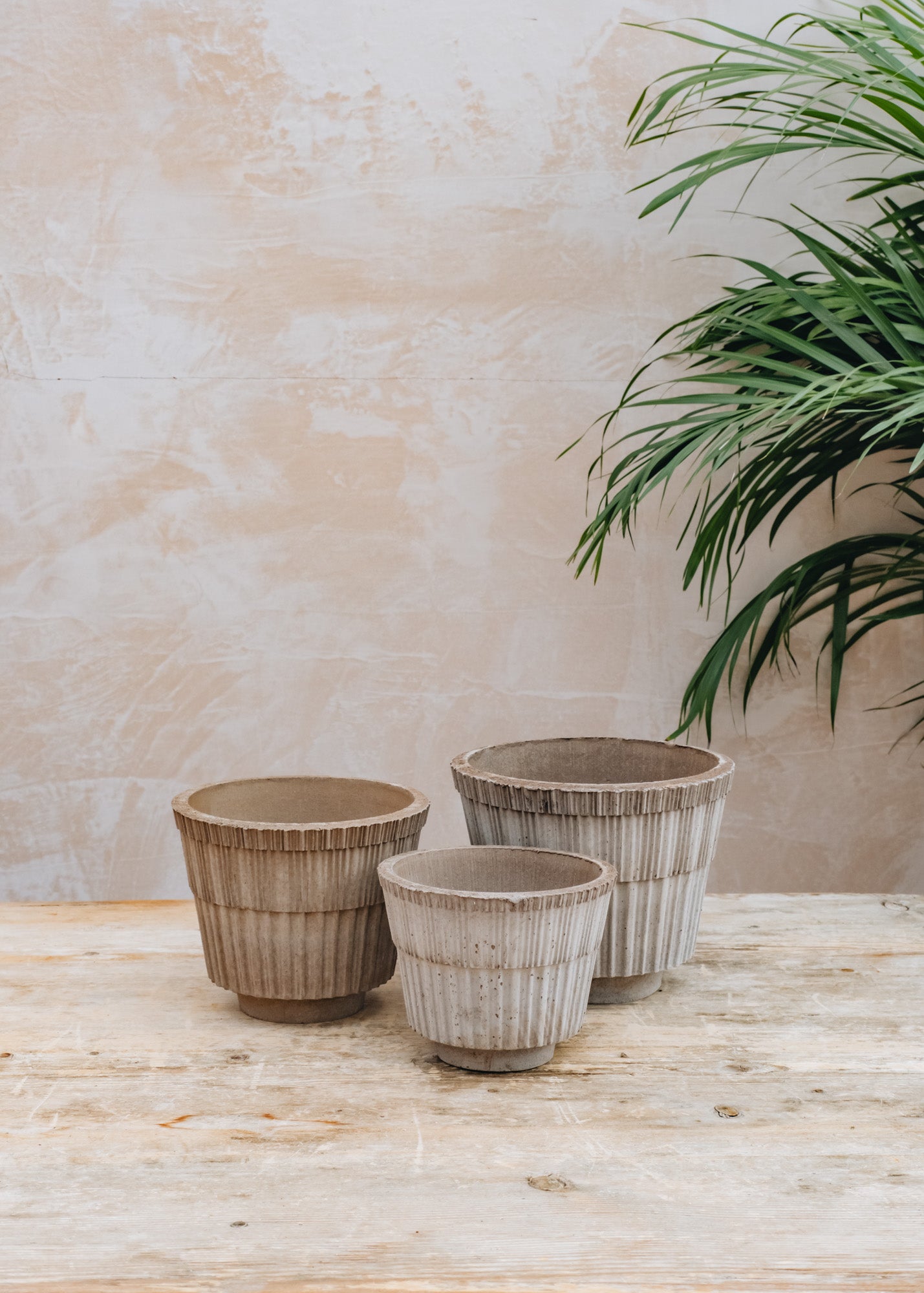 Grey Atlas Pots