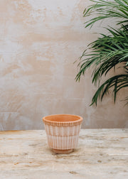 Bergs Potter Rosa Atlas Pots