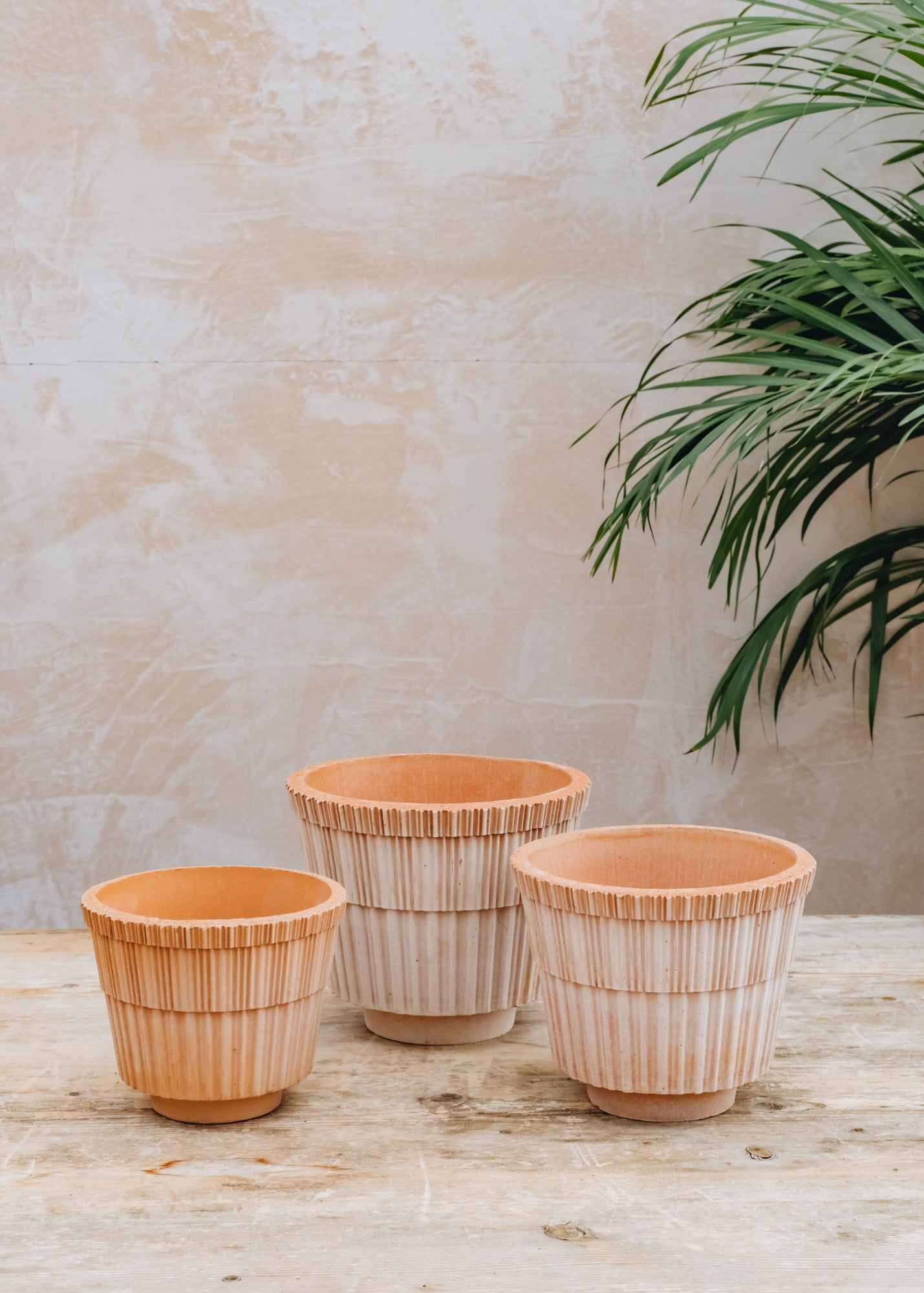 Niwaki Rosa Atlas Pots