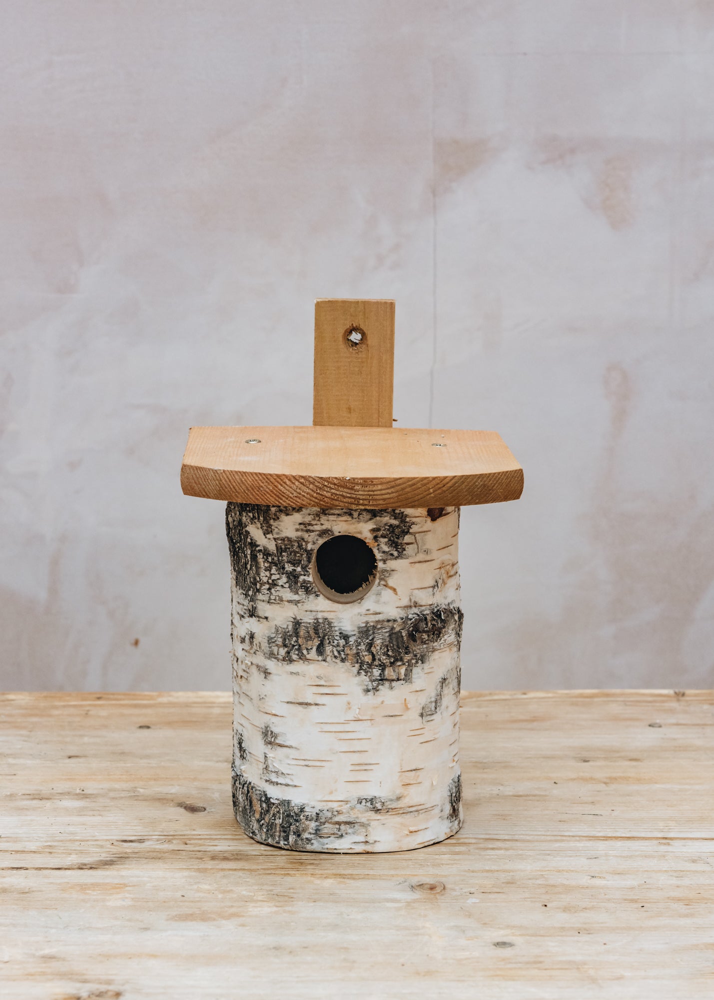 Birch Nest Box – Burford Garden Co.