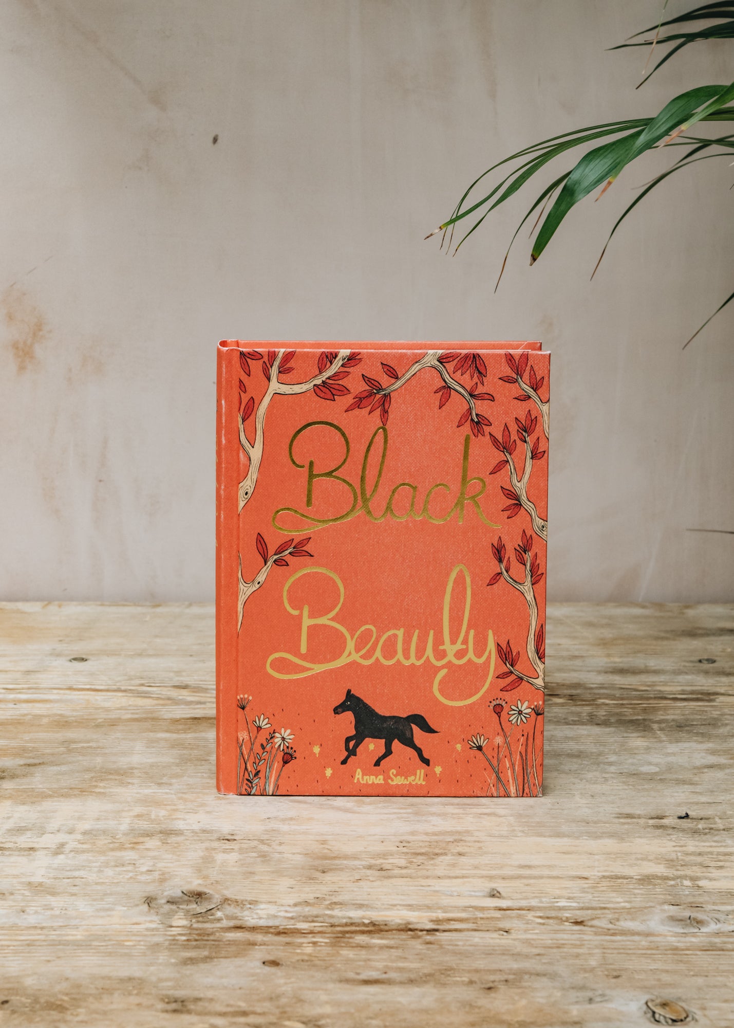 Burford Garden Co. Black Beauty