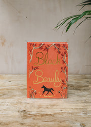 Books for Children Black Beauty