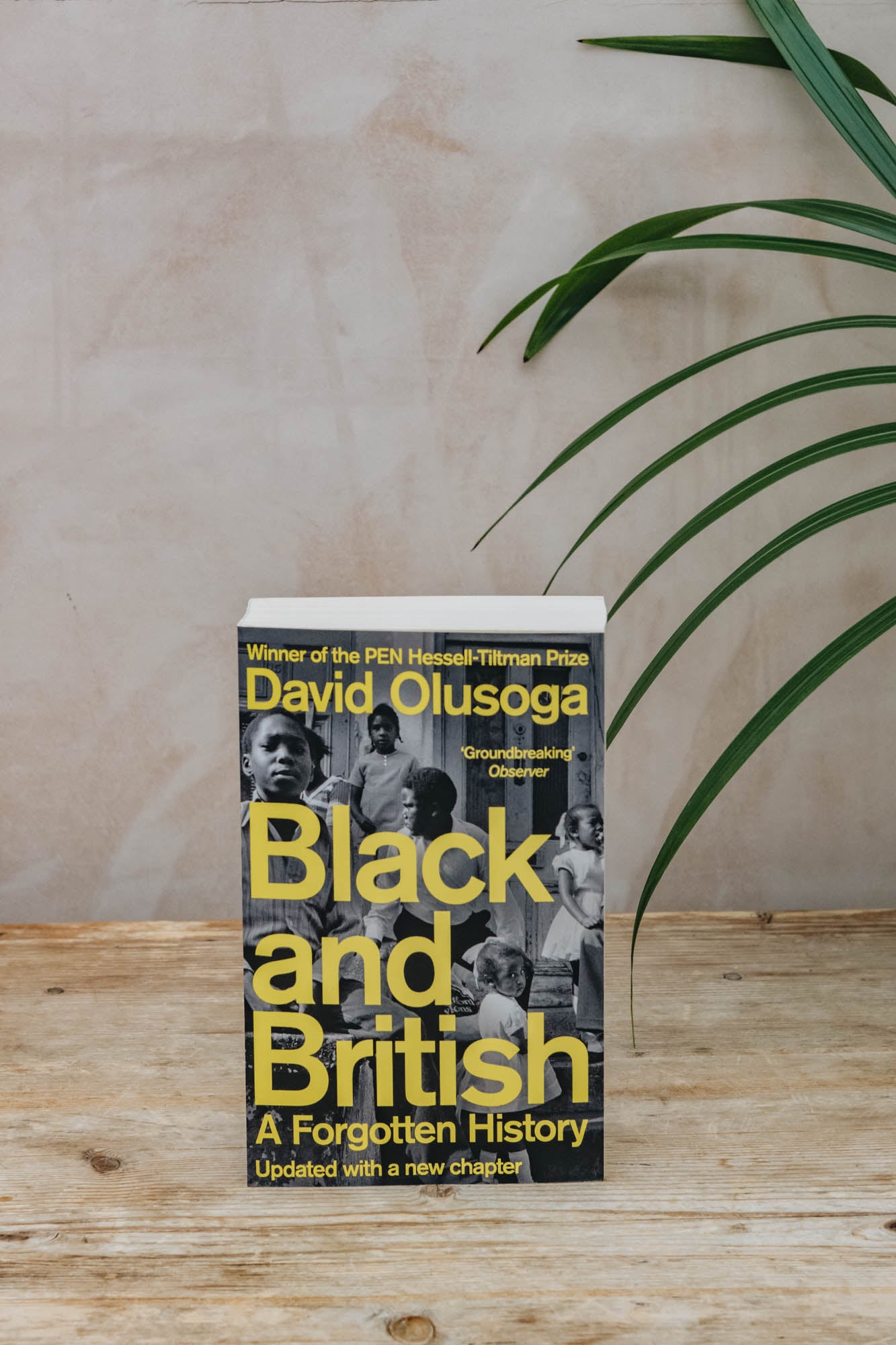 Black and British: A Forgotten History | Burford Garden Co.