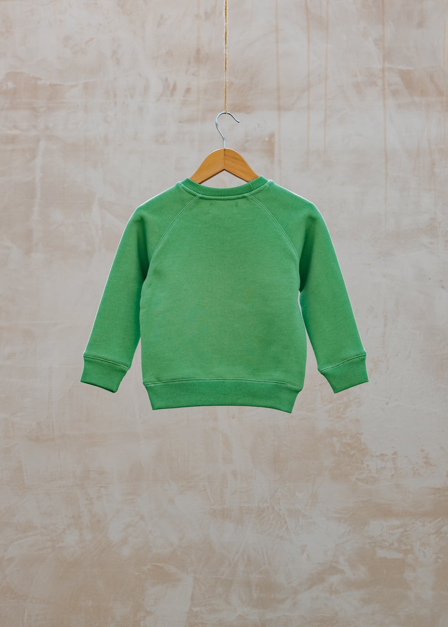 Brother Sweatshirt in Grass Green