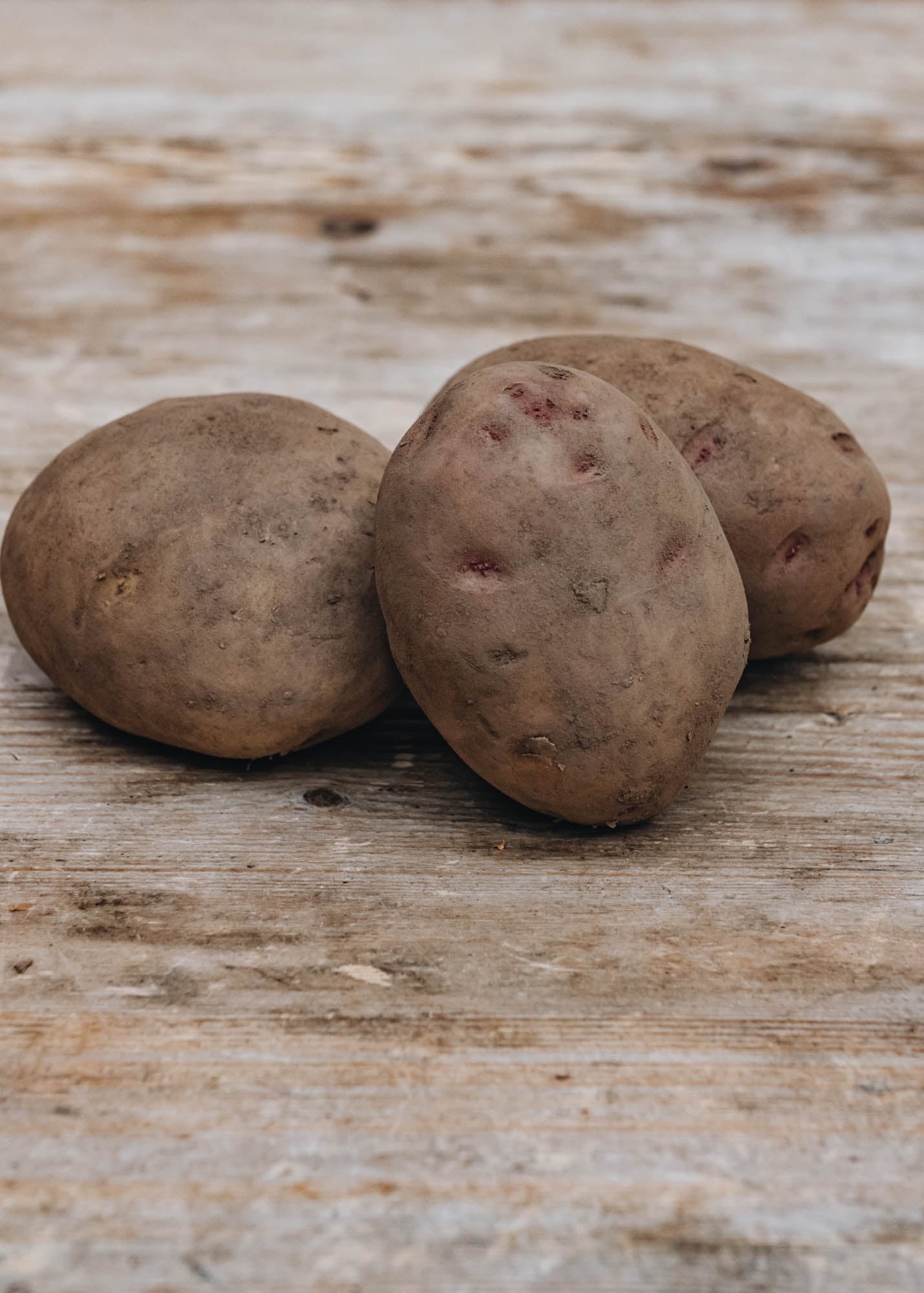 Potato 'Cara’