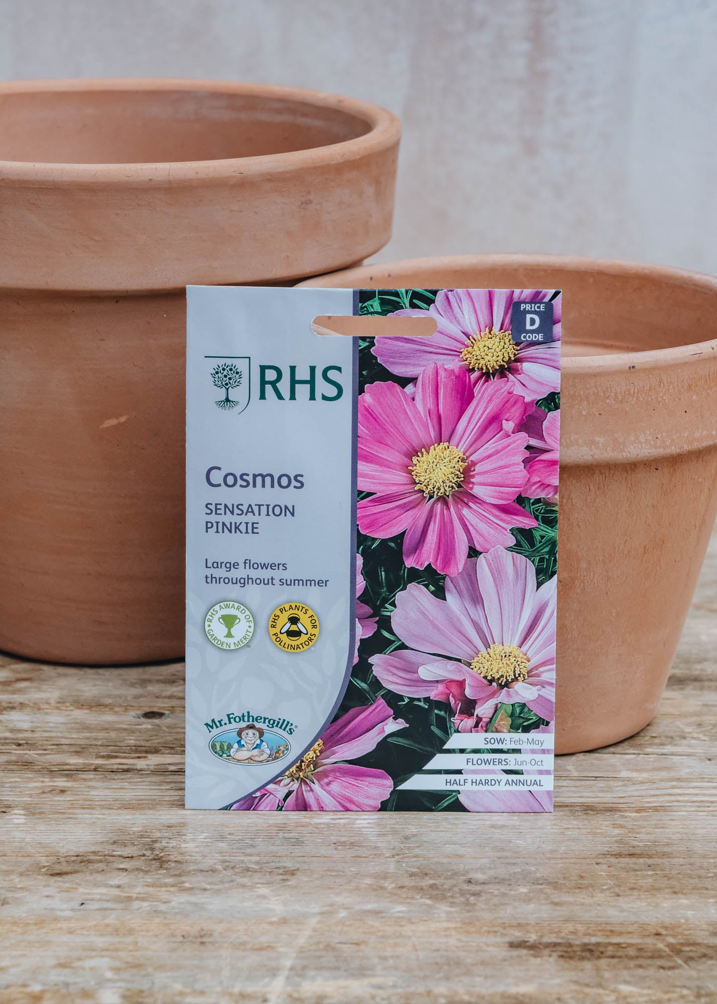 Cosmos Sensation Pinkie Seeds | Burford Garden Co.