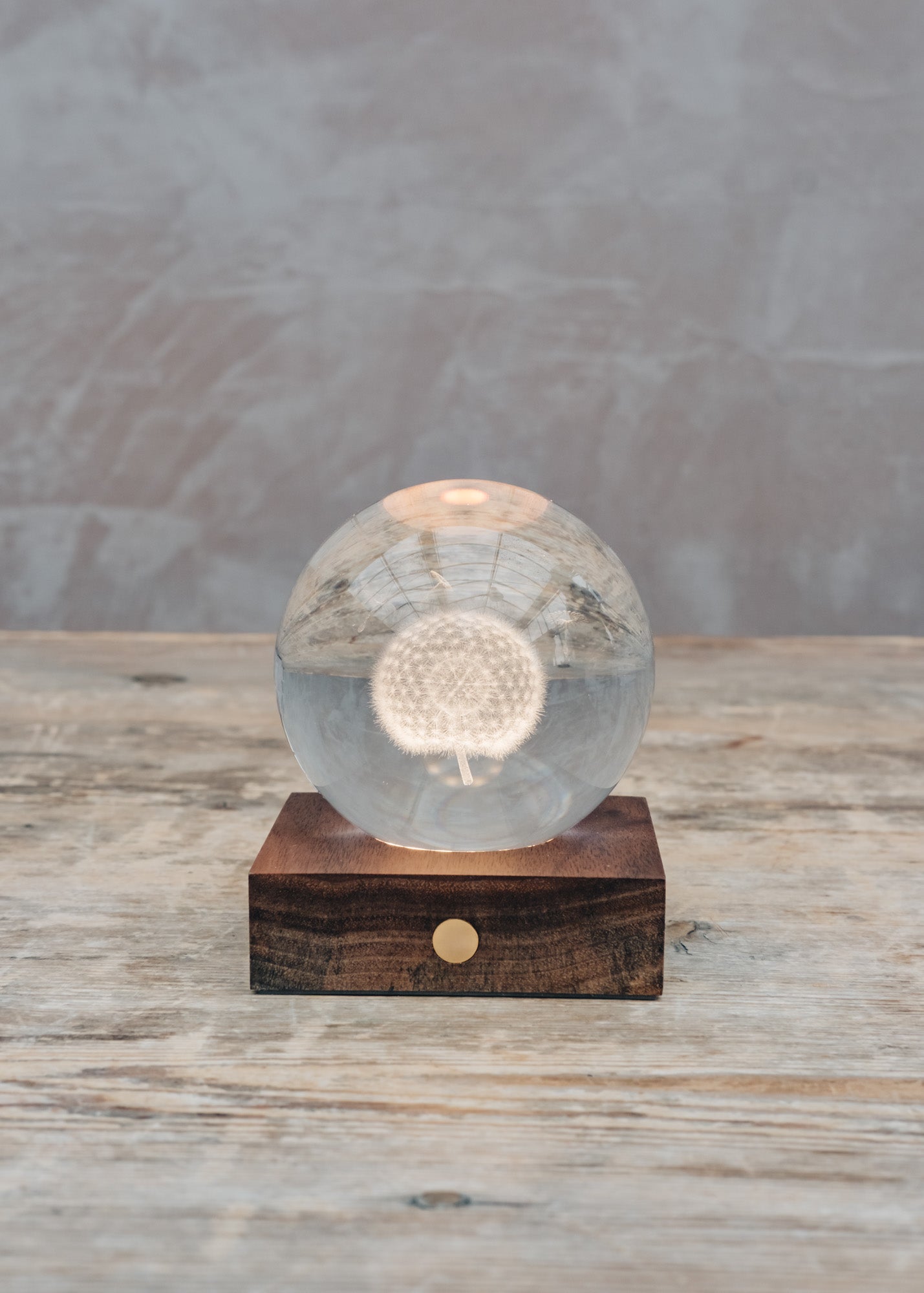 Gingko Dandelion Crystal Light