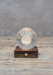 Gingko Dandelion Crystal Light