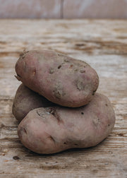 Taylors Bulbs Potato 'Desiree’