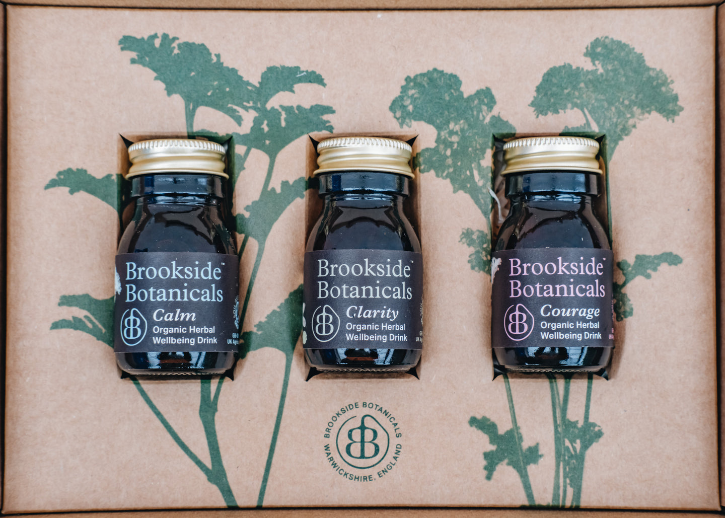 Distilled Herbal Tonic Gift Set