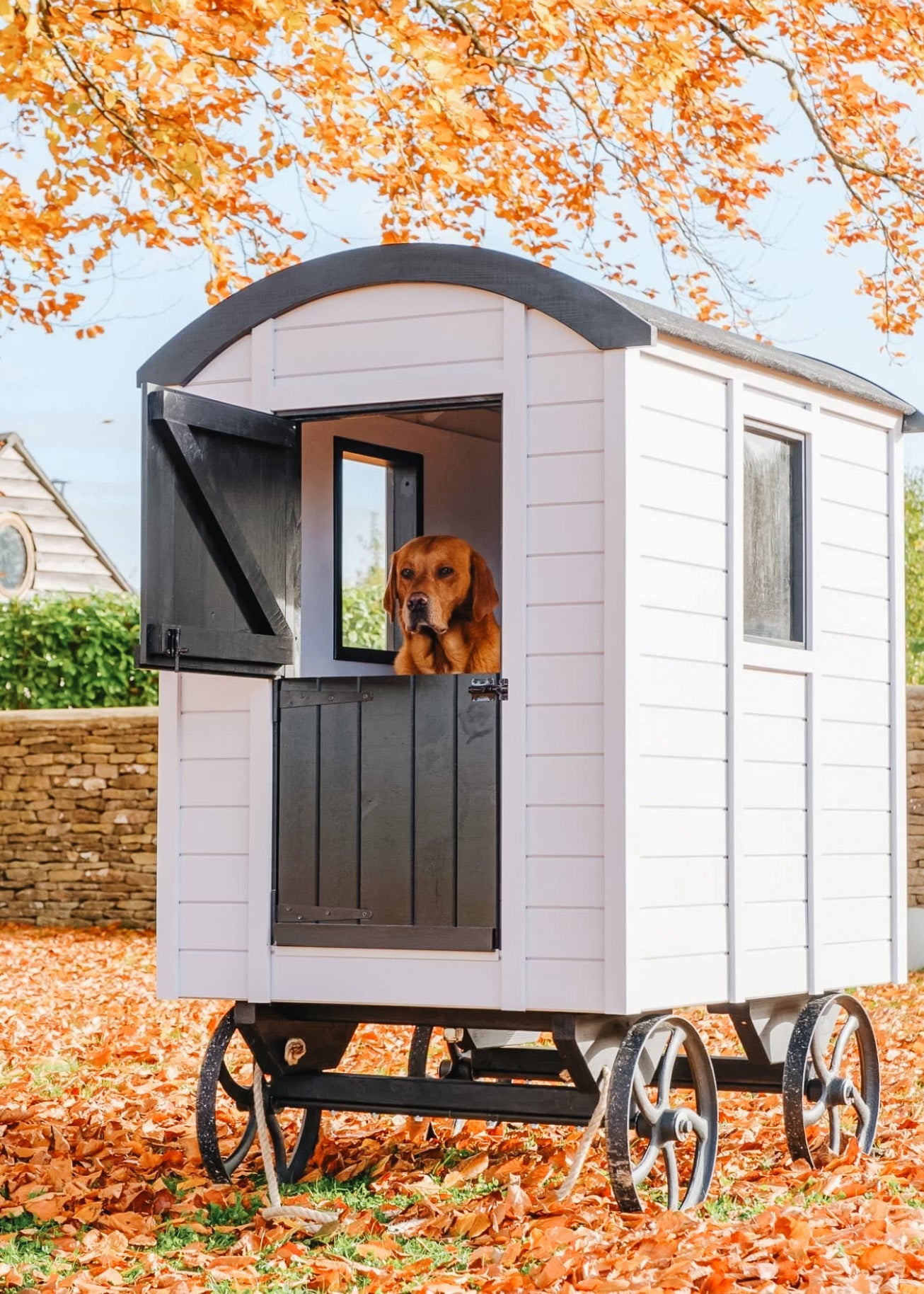 Wild Huts Luxury Dog Cabin