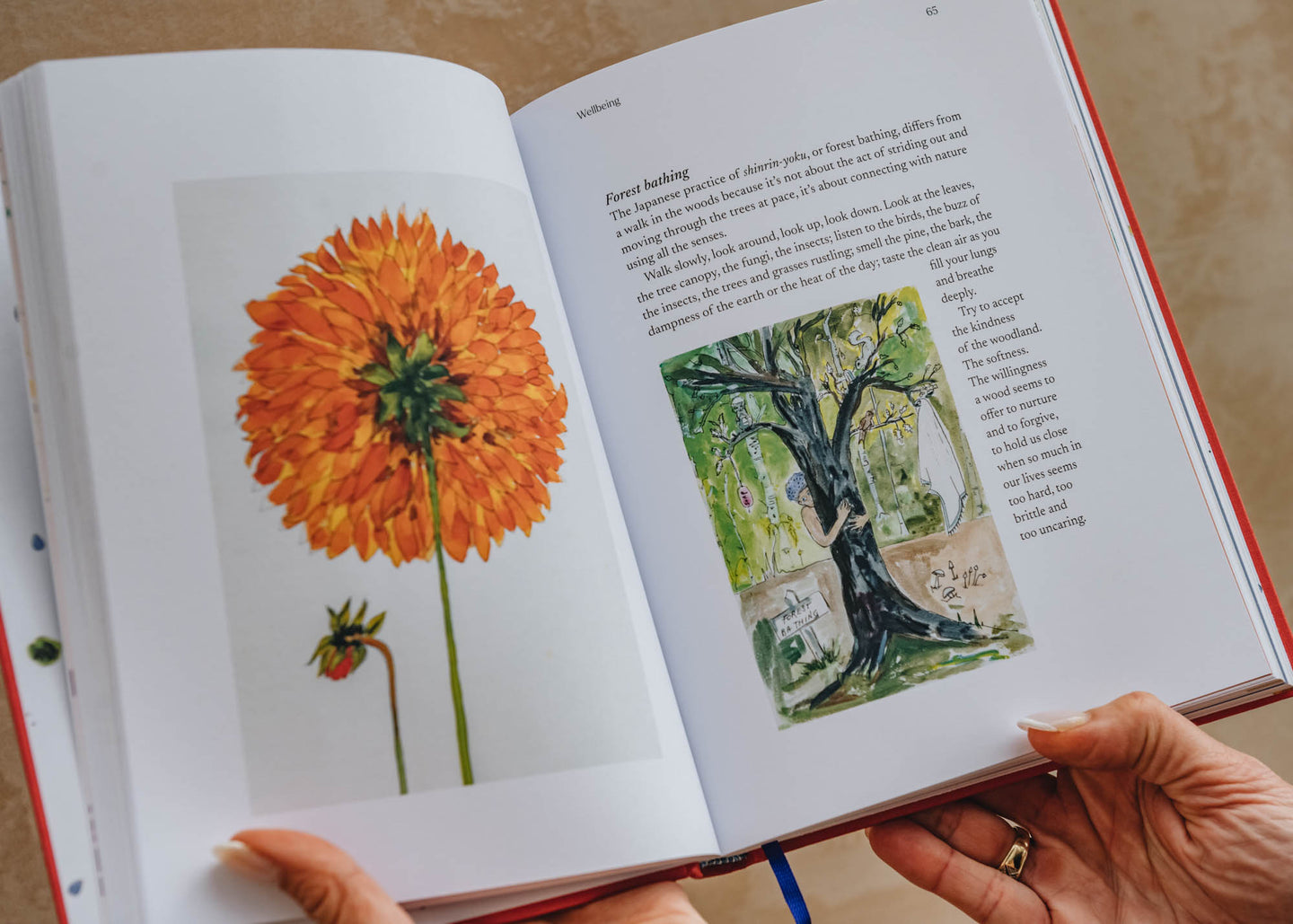 Gardening Books Drawn to the Garden