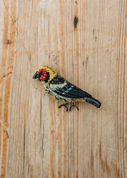 Flame Faced Tanager Brooch