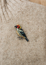 Flame Faced Tanager Brooch