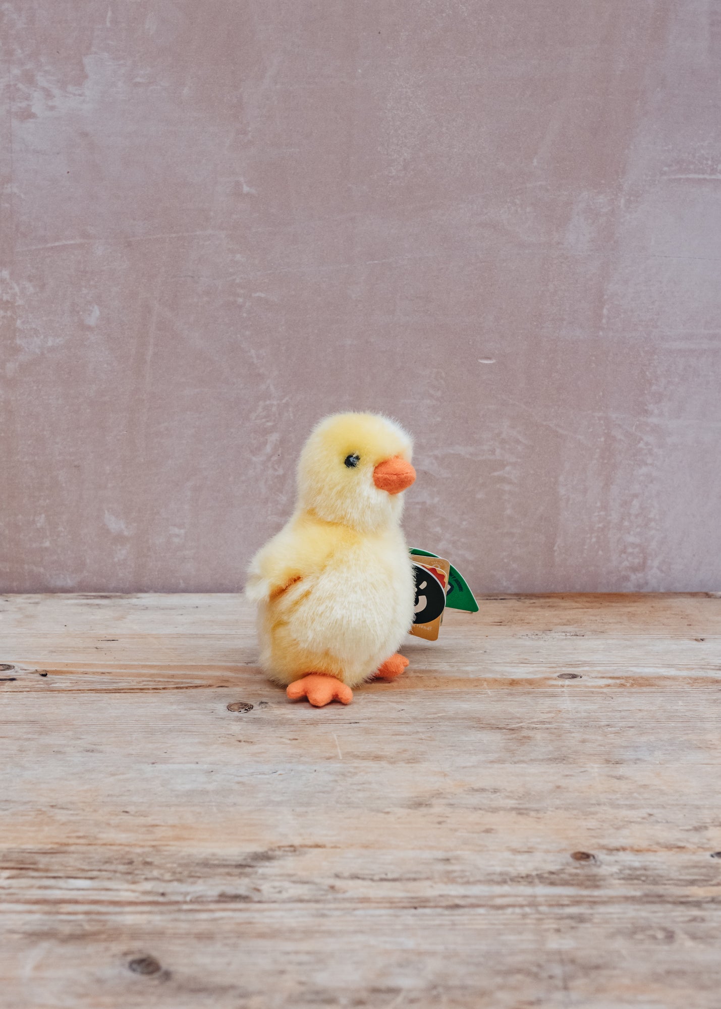 Fluffy Yellow Chick