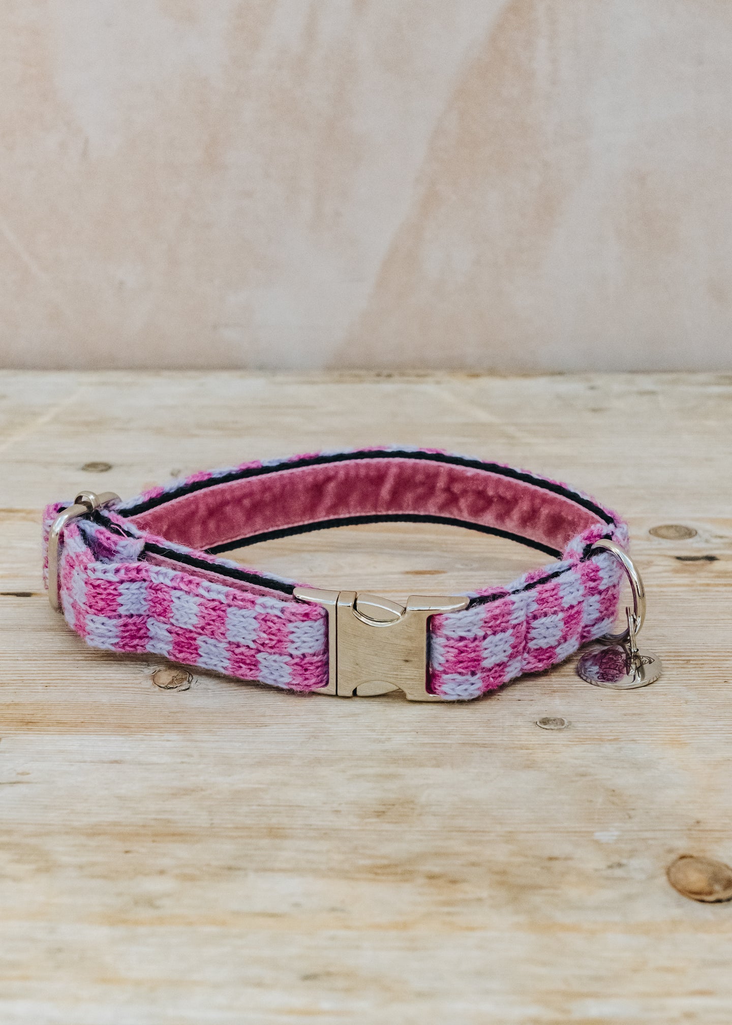 Stocky & Dee Dog Collar in Freesia