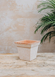 Rosa Gaia Pots