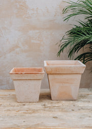 Rosa Gaia Pots