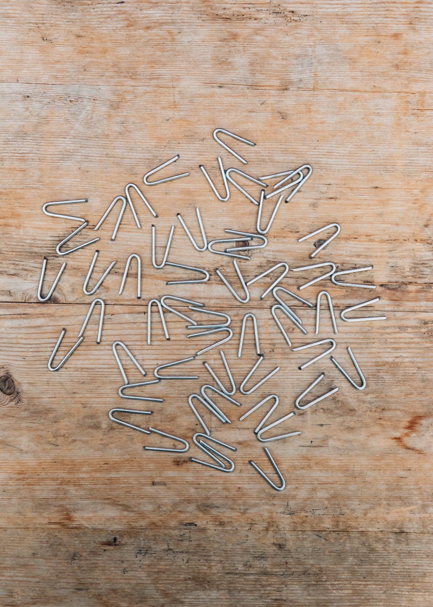 Tildenet Galvanised Staples, 30mm