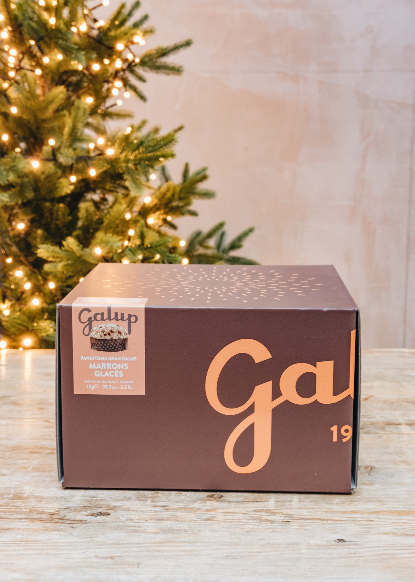 Gran Galup Marrons Glacés Panettone, 1000g