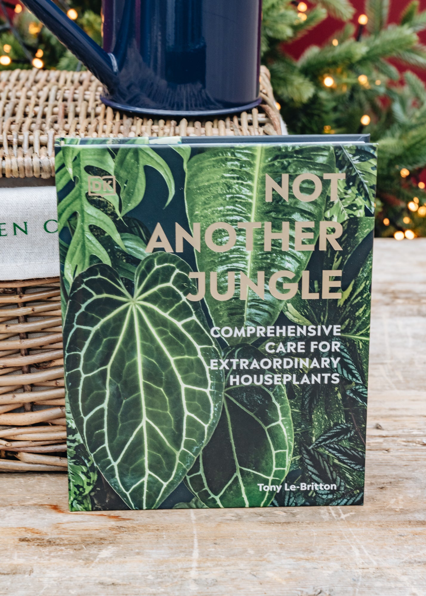 The Houseplant Lover's Hamper - Burford Garden Co.