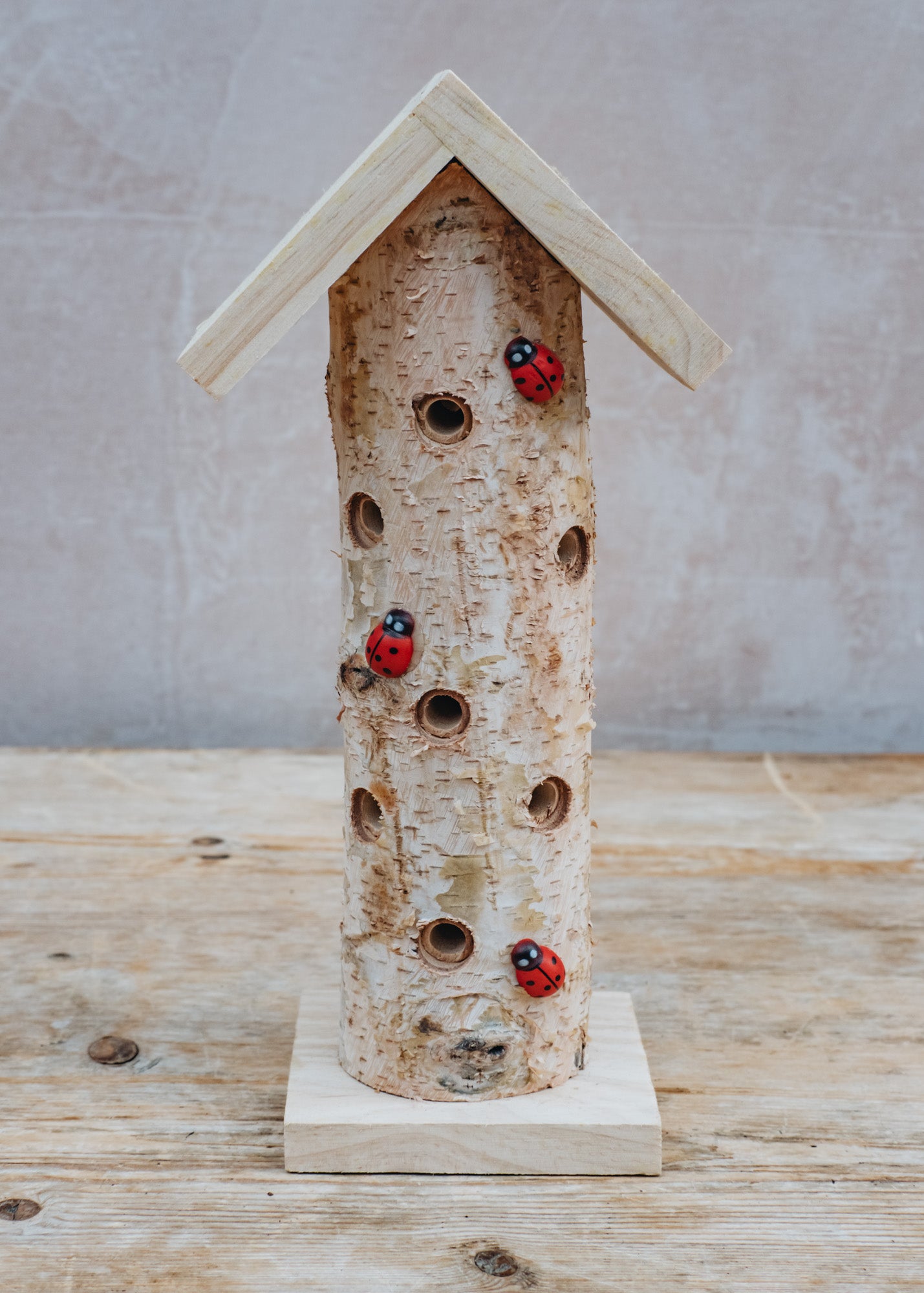 Ladybird Tower