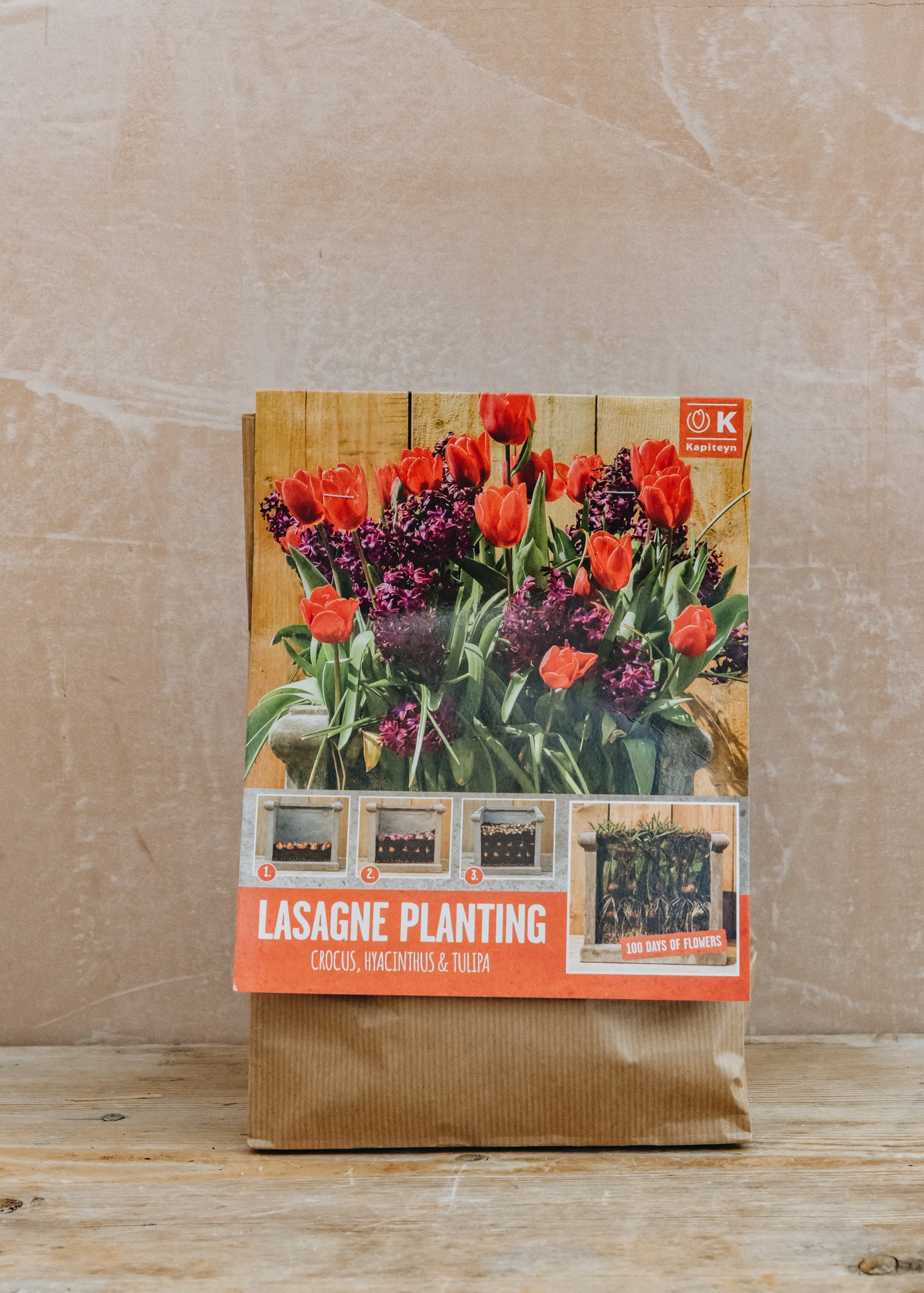 Lasagne Planting Red and Purple Bulb Mix