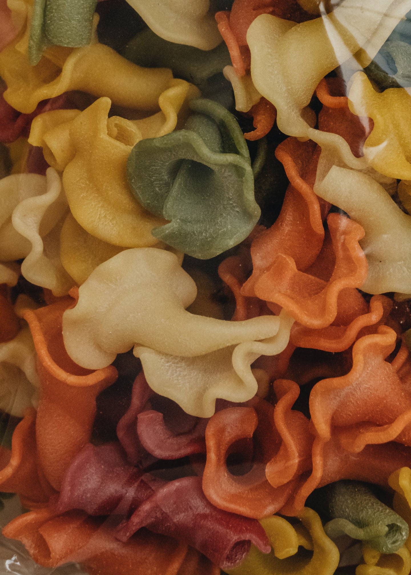 Colourful Lilies Pasta
