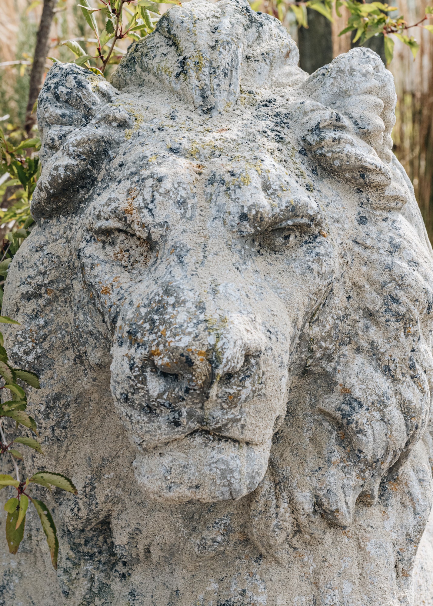 Terres D'Albine Right Facing Stone Lion