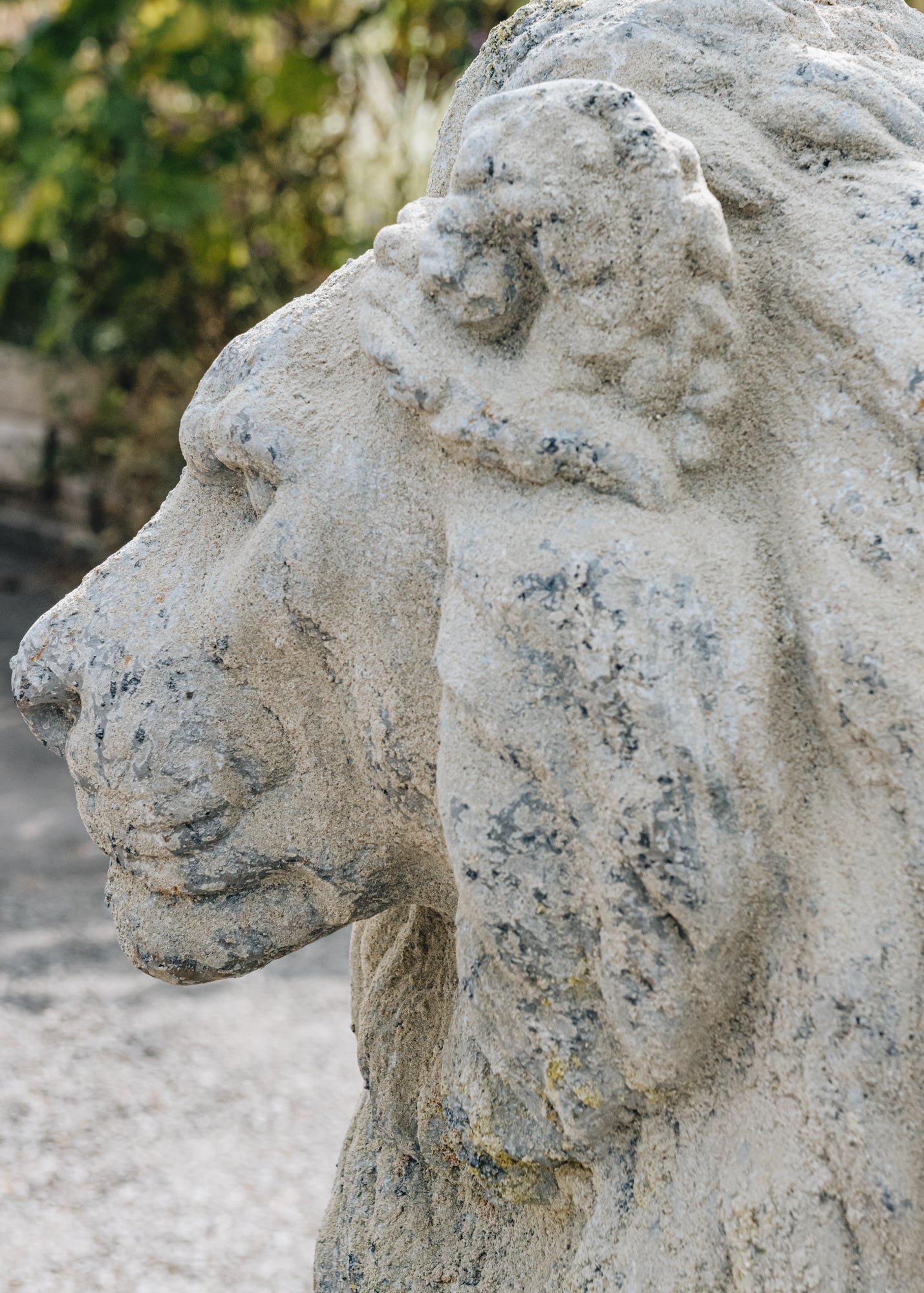 Terres D'Albine Left Facing Stone Lion