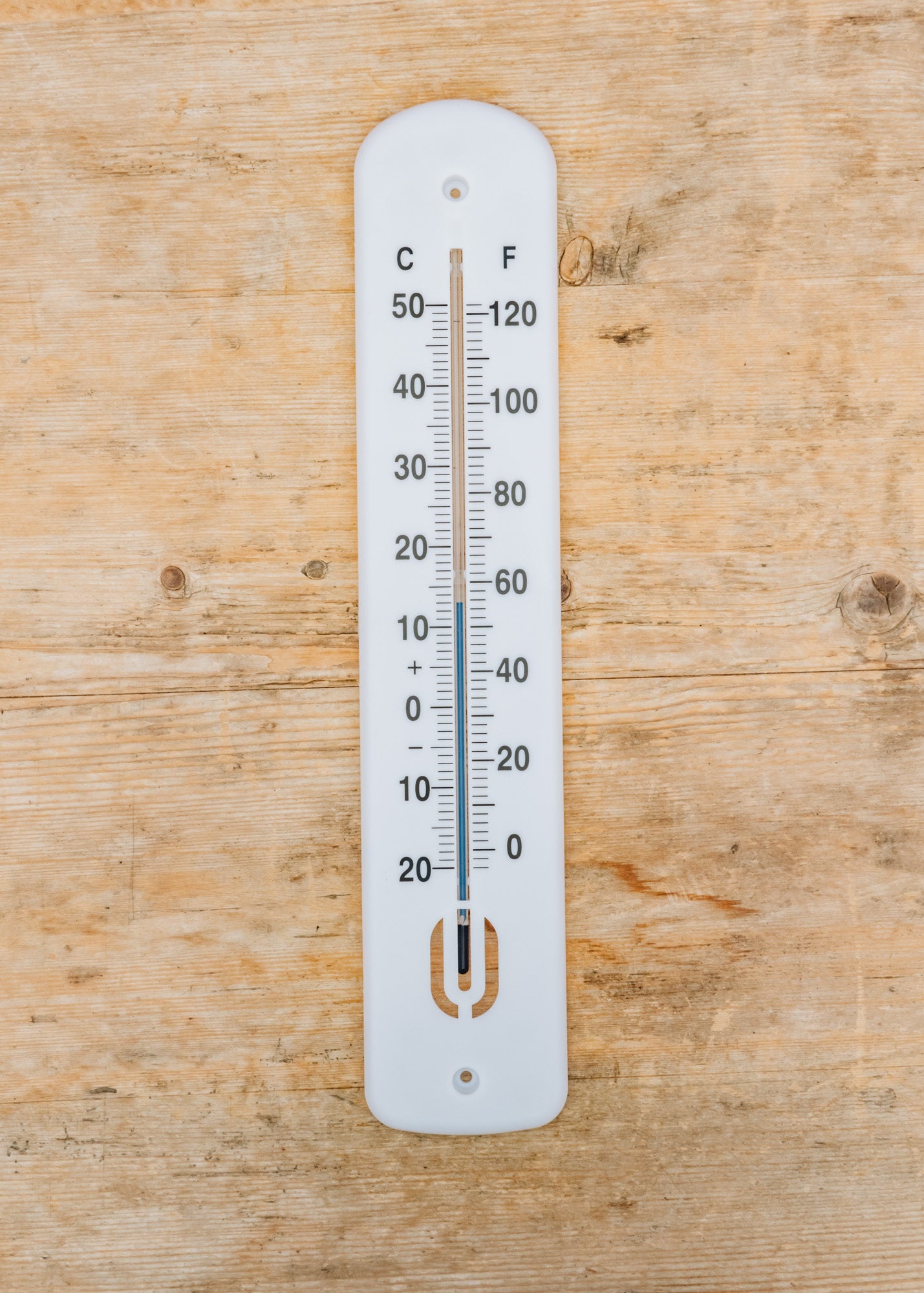 Long Wall Thermometer