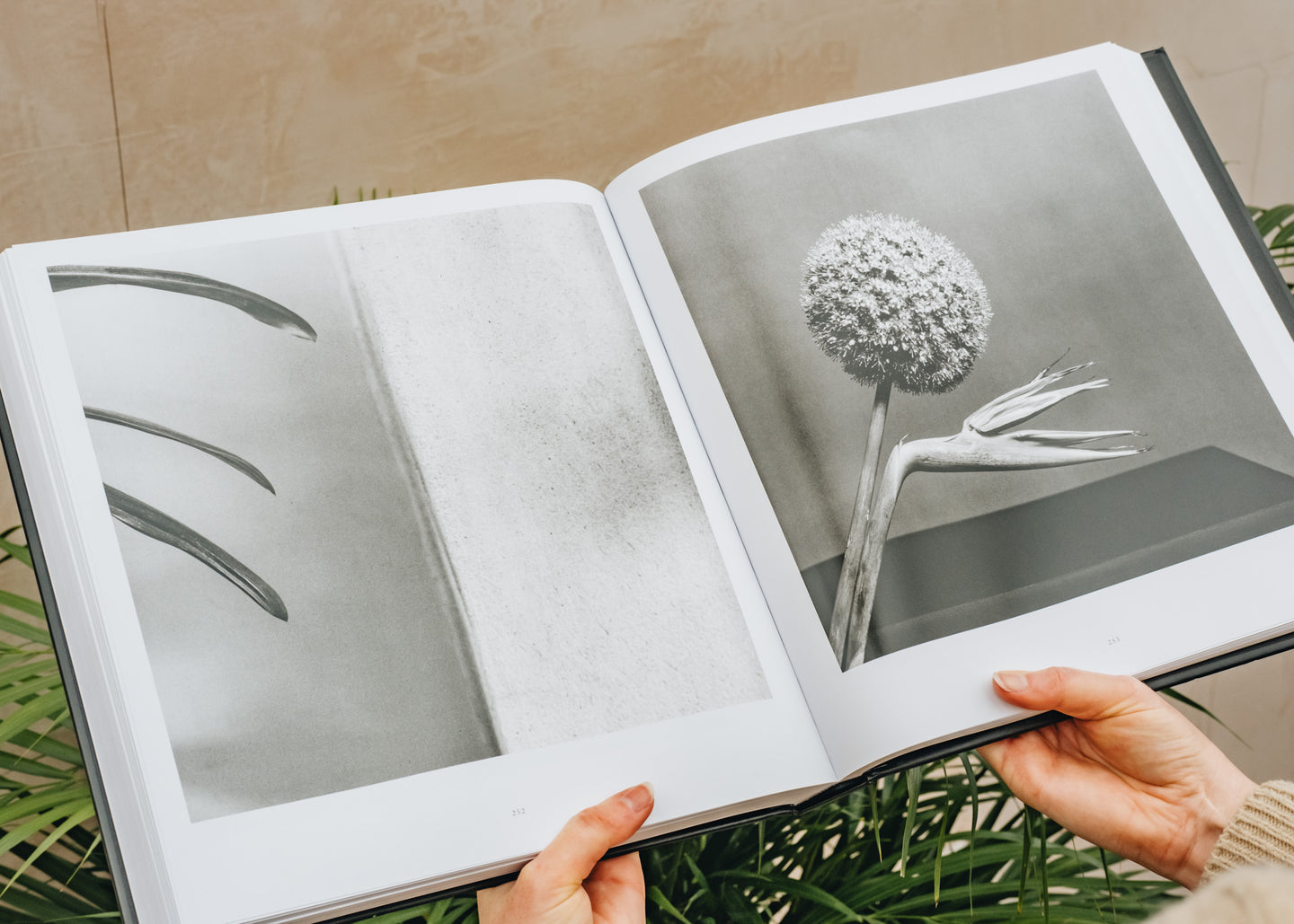 Mapplethorpe Flora: The Complete Flowers