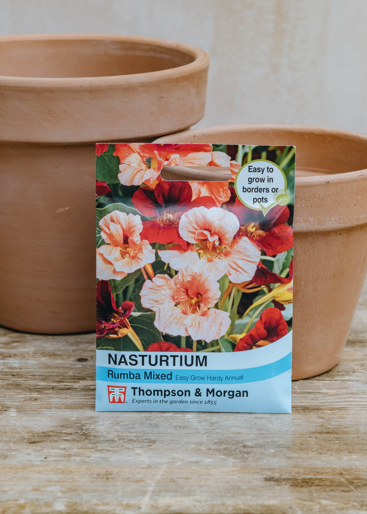 Seeds of Italy Nasturtium Rumba Mixed Seeds