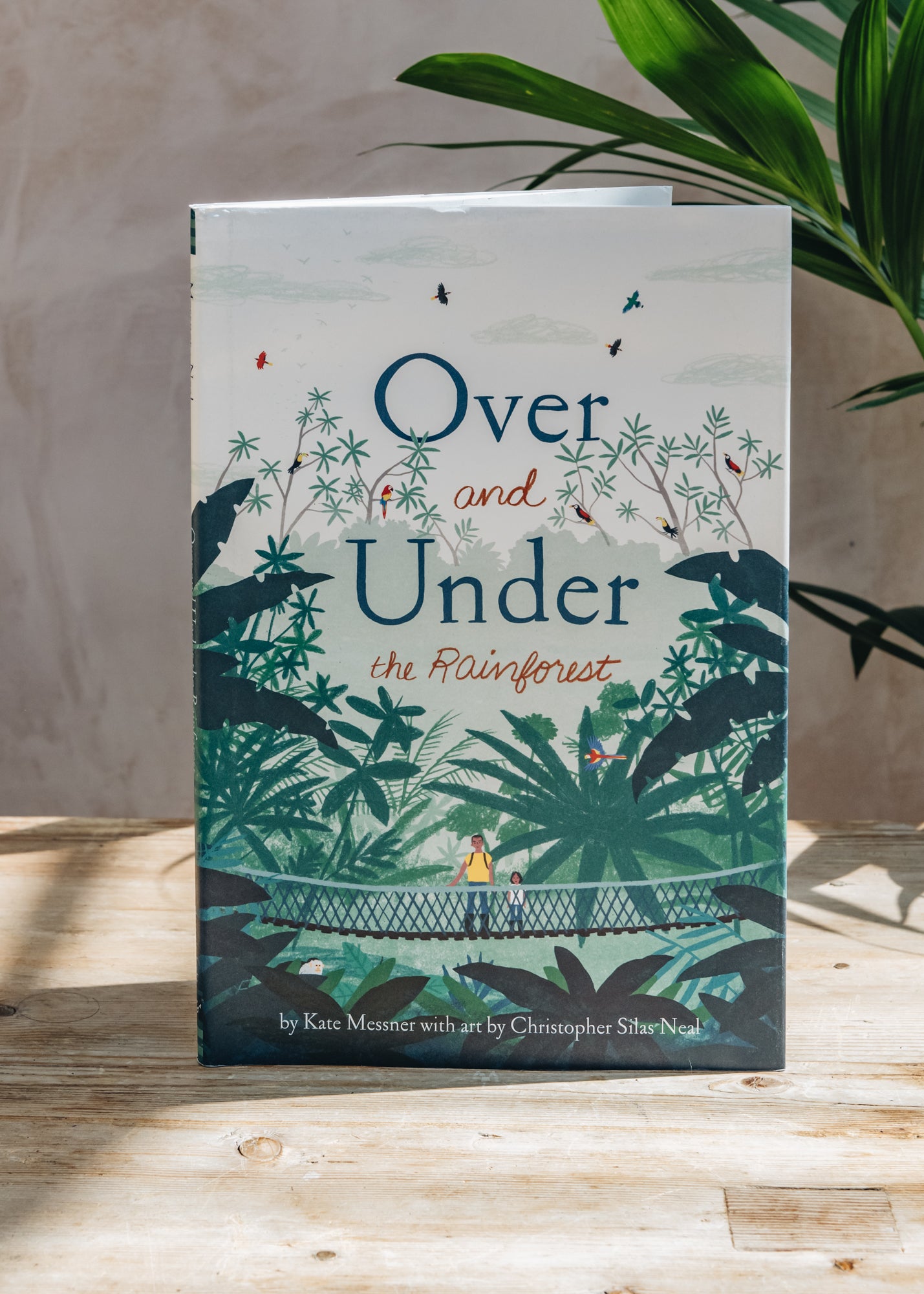 Over and Under the Rainforest – Burford Garden Co.