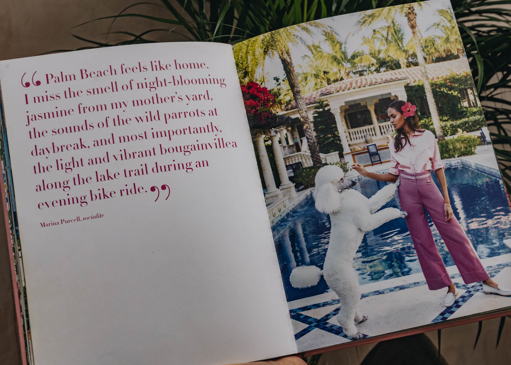 Palm Beach Book By Aerin Lauder Assouline Burford Garden Co