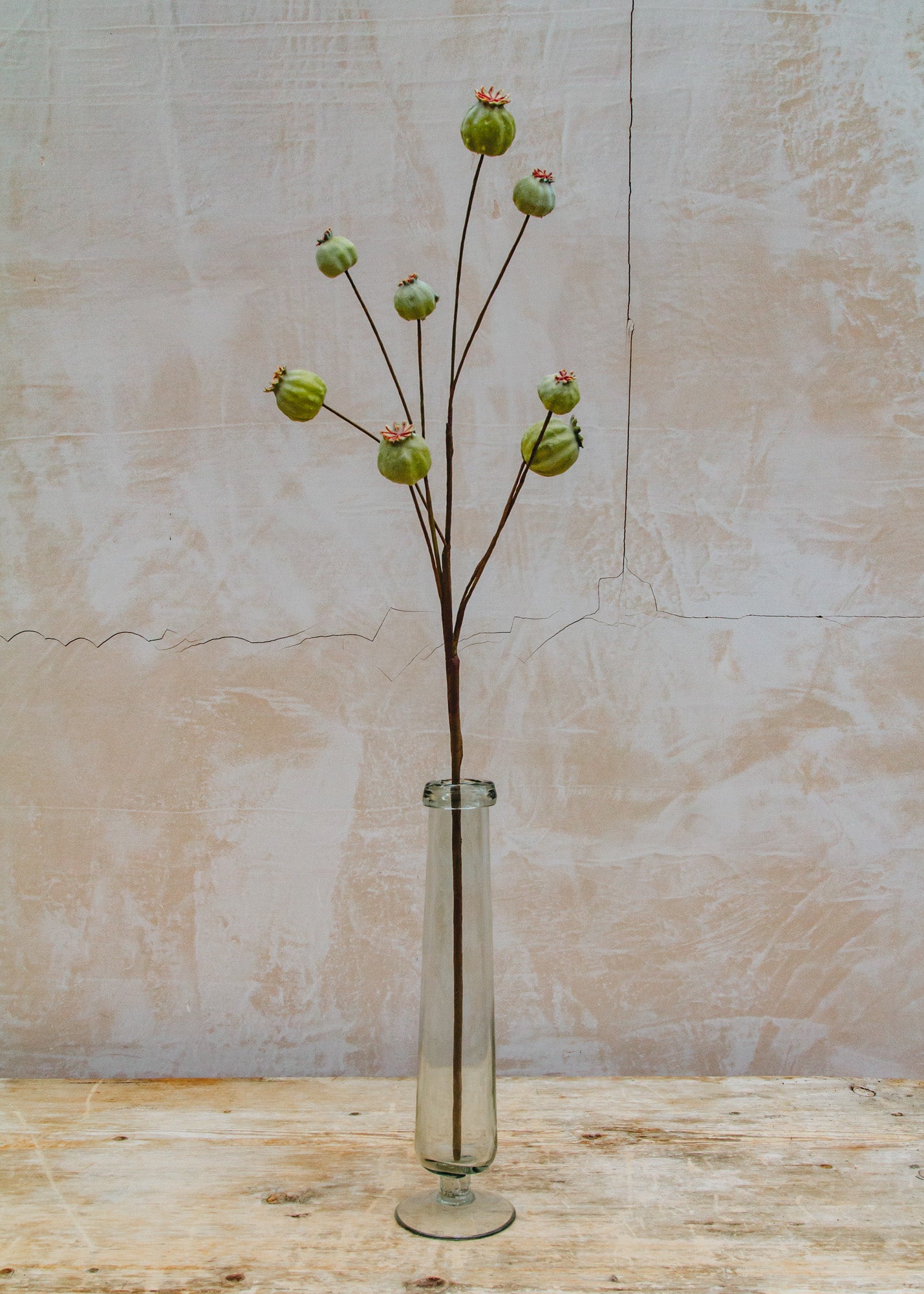 Artificial Papaver Seed Pods in Green