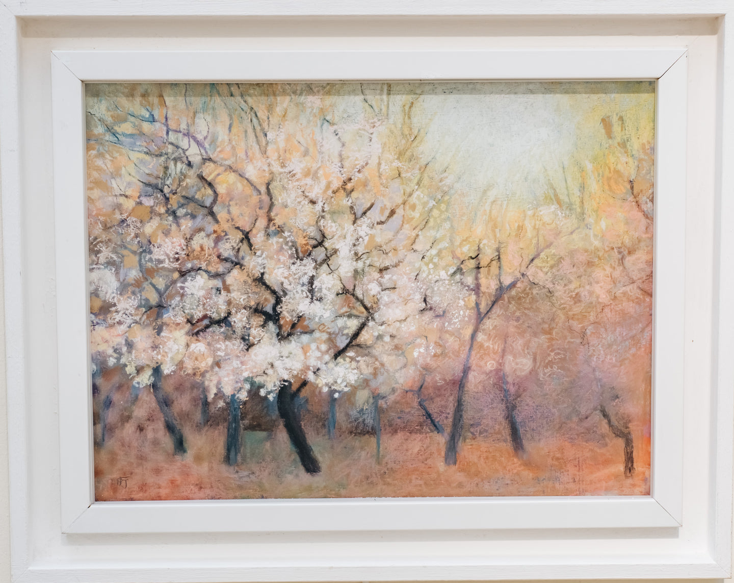 Burford Gallery Almond Blossoms