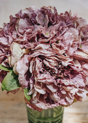 Maggie: Timeless Flowers Artificial Peony Bundle in Purple