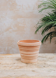 Bergs Potter Rosa Planets Pots