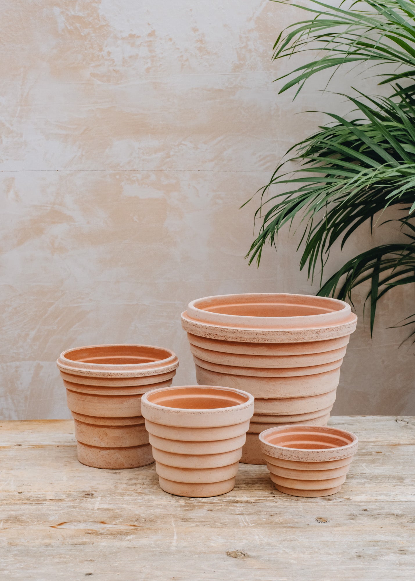 Sarl Caillard Deco Rosa Planets Pots