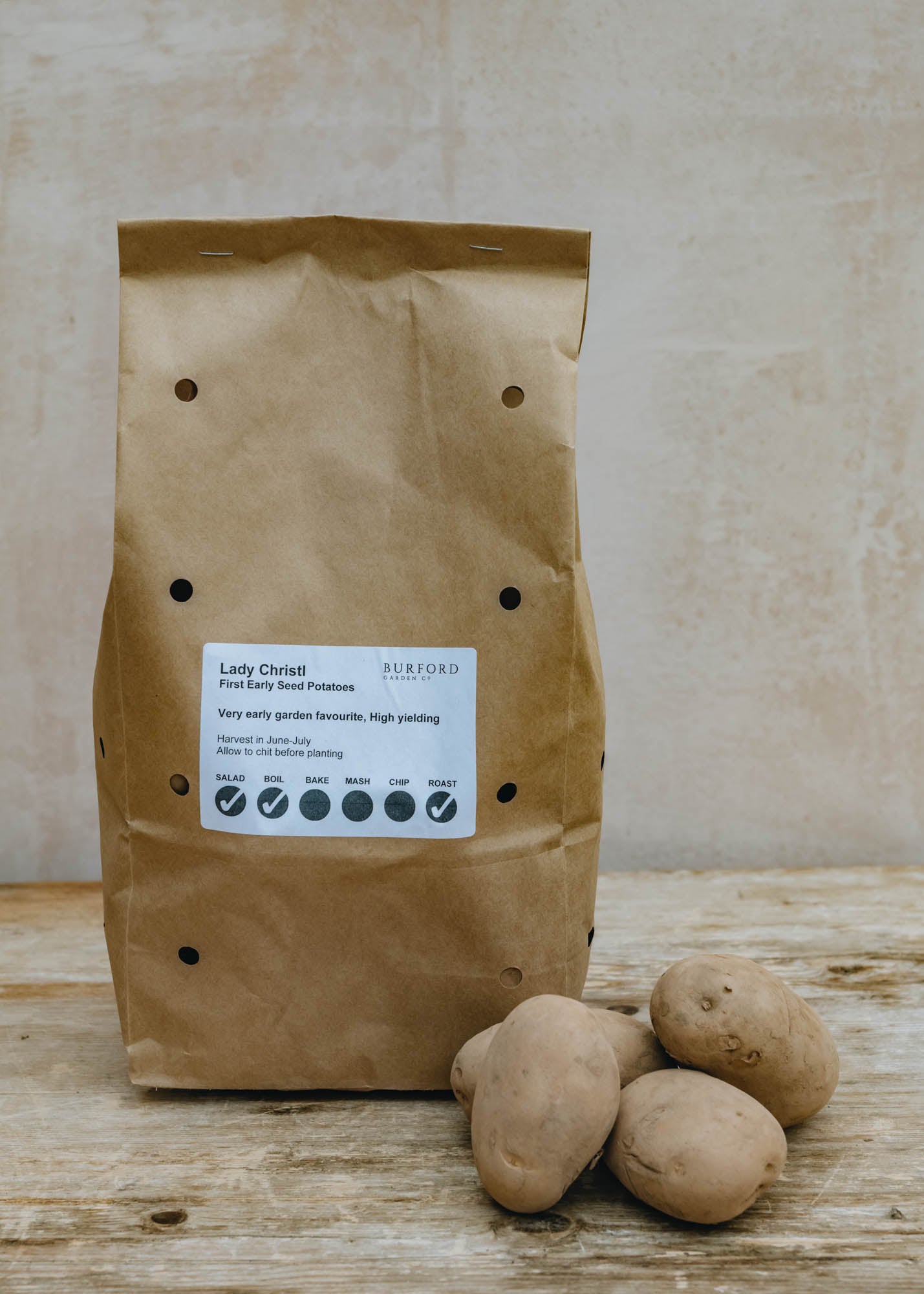 Seed Potato 'Lady Christl’, 2kg