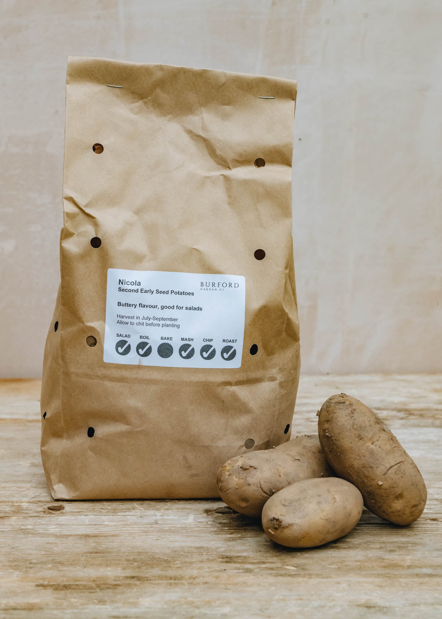 Seed Potato 'Nicola', 2kg