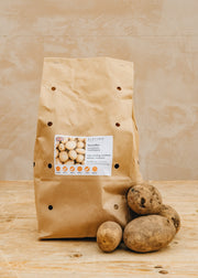 Seed Potato 'Skywalker', 2kg