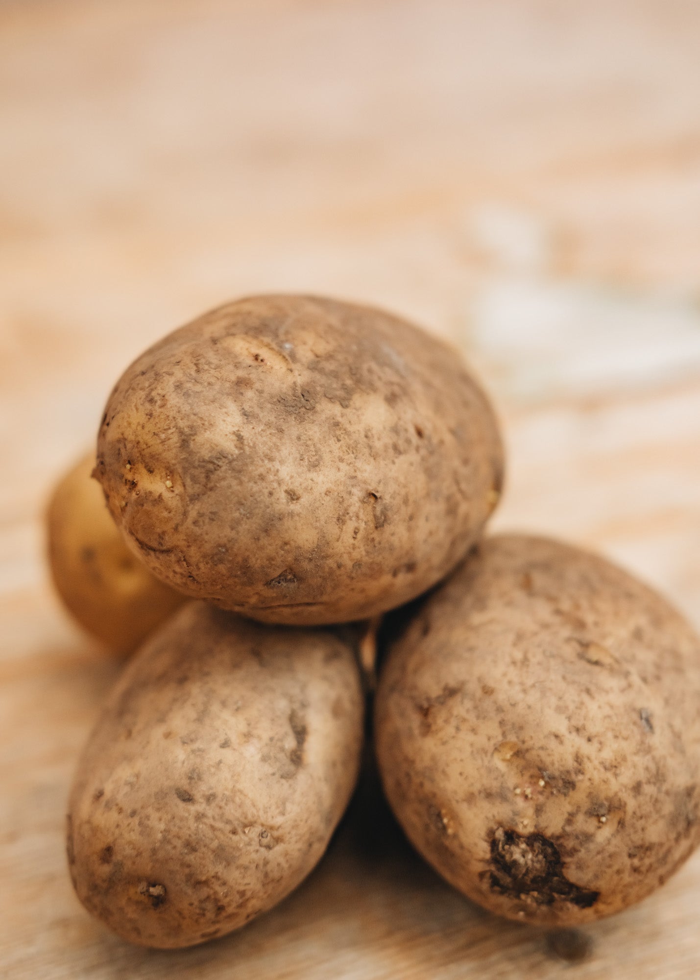 Seed Potato 'Skywalker', 2kg