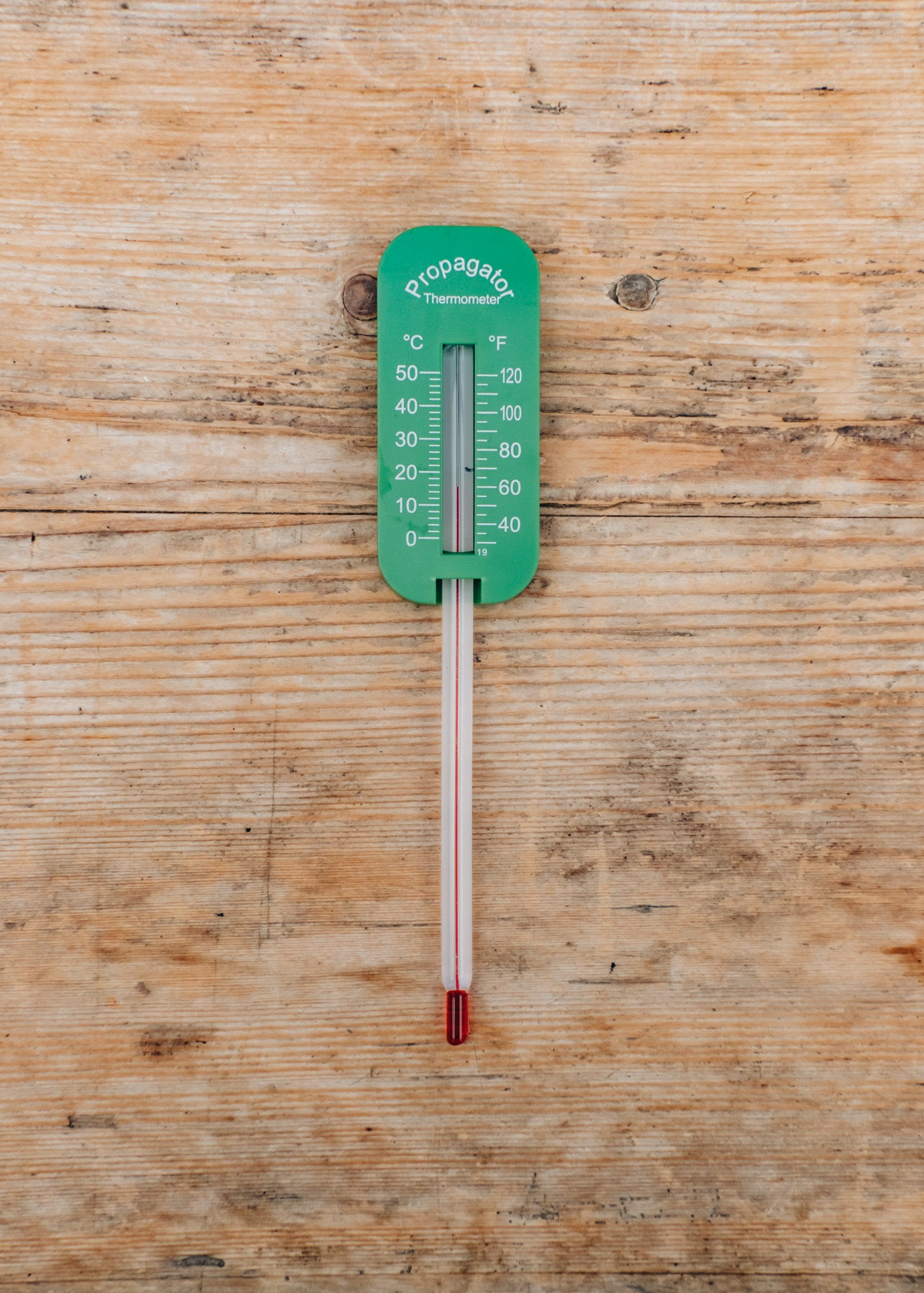 Propagator Thermometer