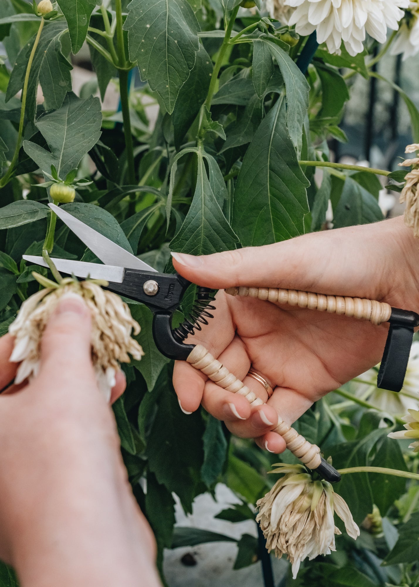 Niwaki Rattan Snips