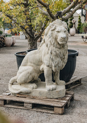 Terres D'Albine Right Facing Stone Lion